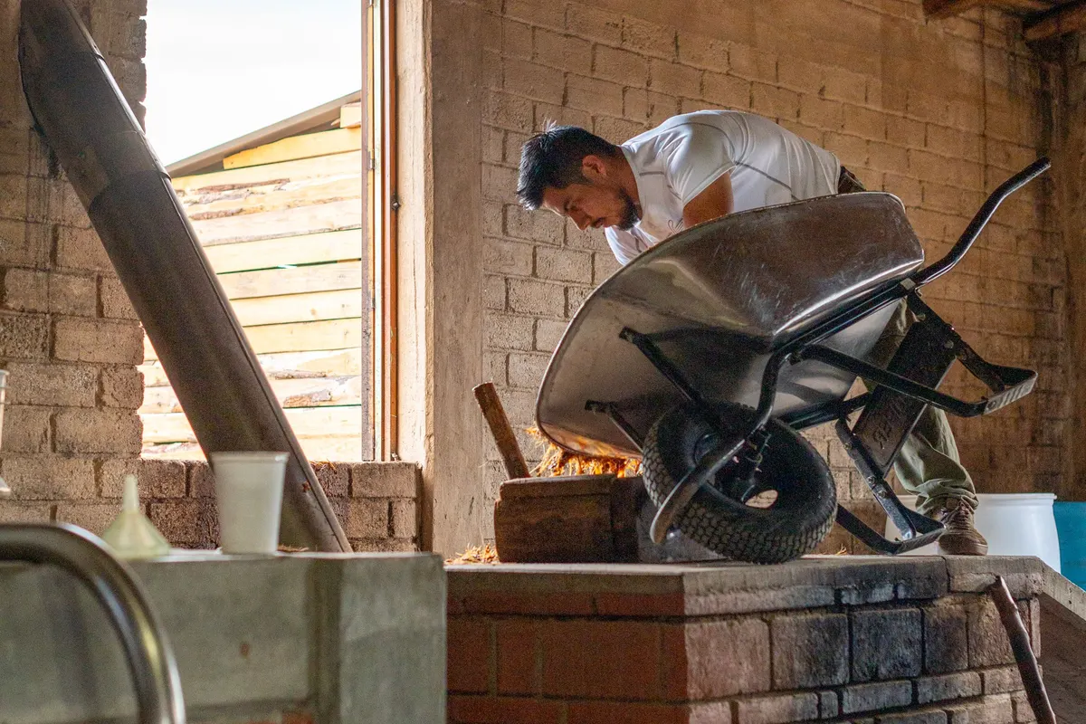 Worker with a wheelbarrow clearing renovation debris